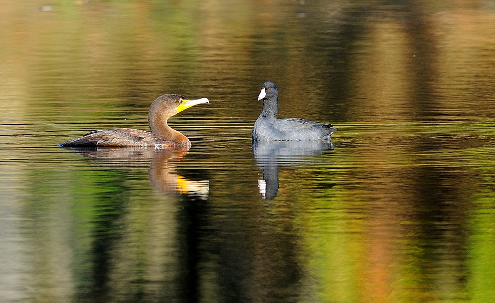 D36_1412.jpg