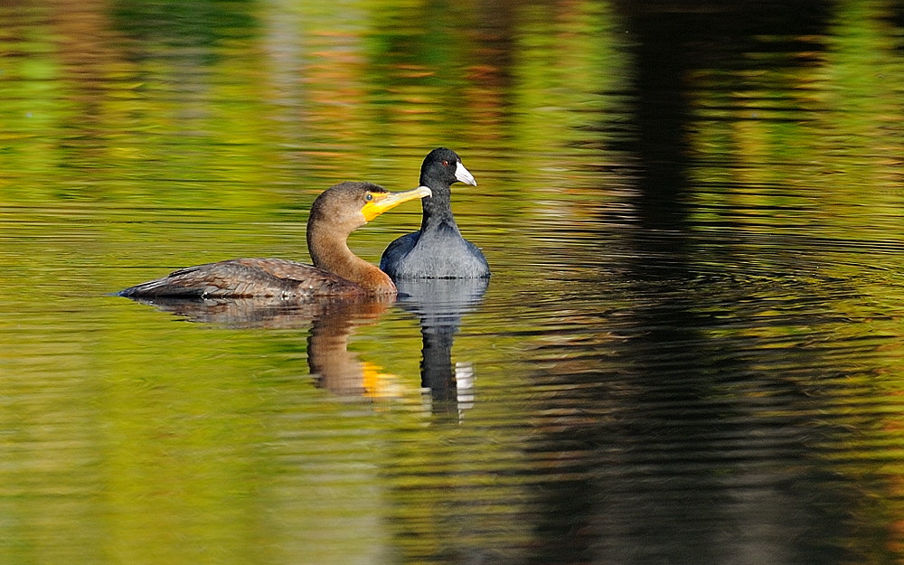 D36_1434.jpg