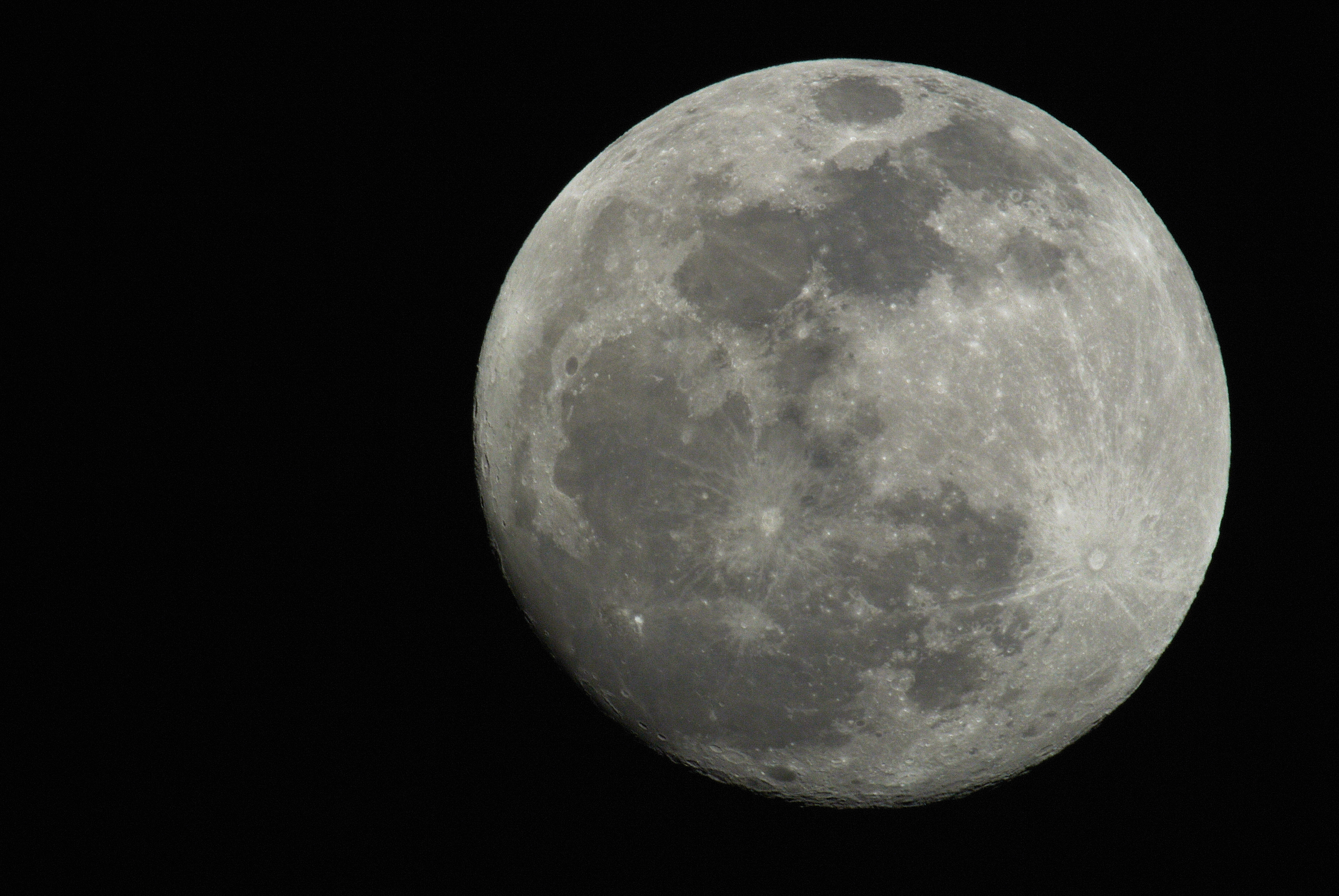 DSC_7184 NC.jpg