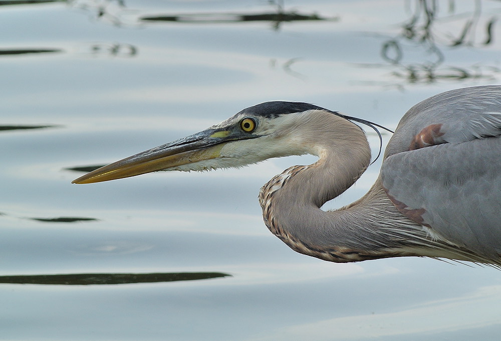 DSC_7474.jpg