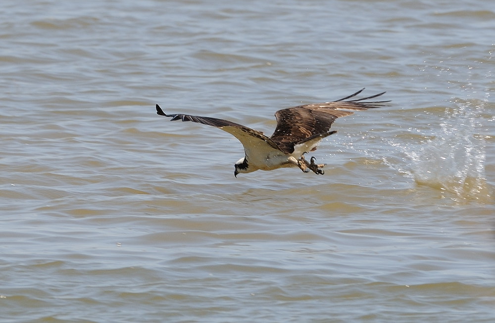 D36_5577.jpg