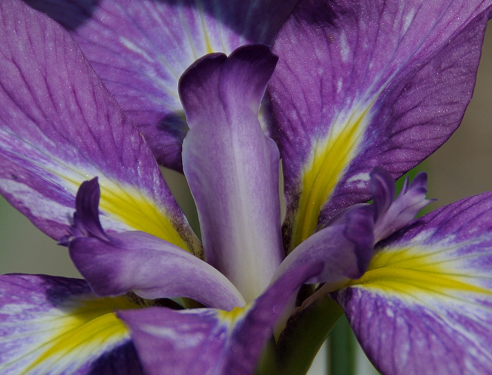 DSC_7794.jpg