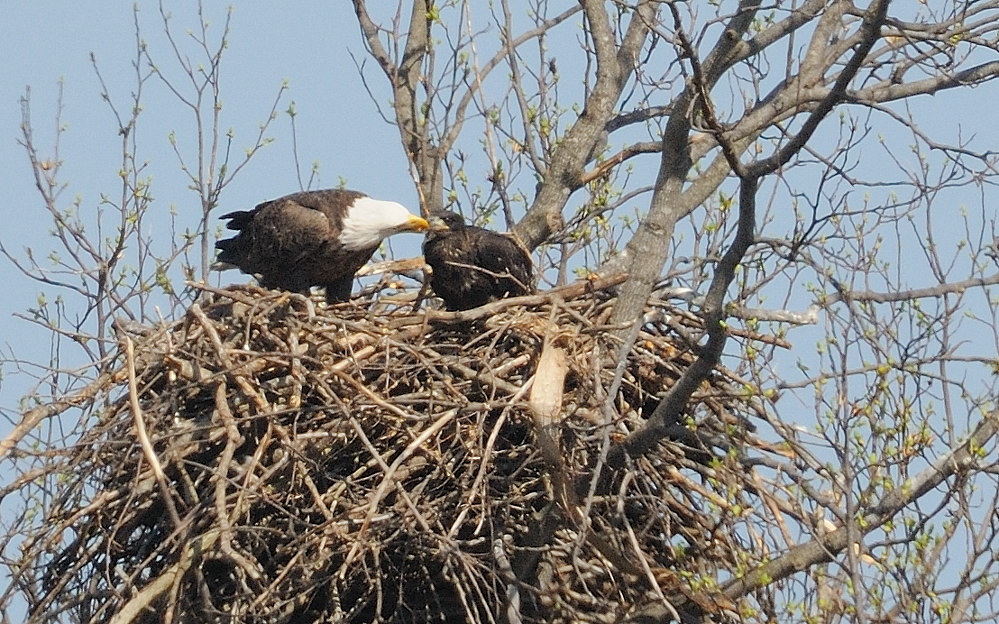 D37_4259.jpg