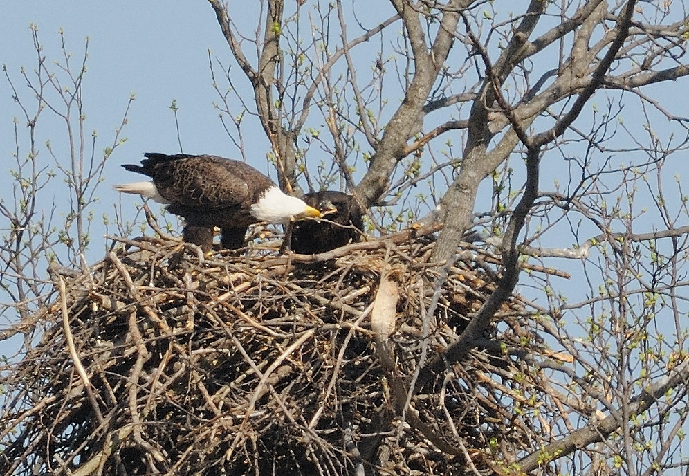 D37_4272.jpg