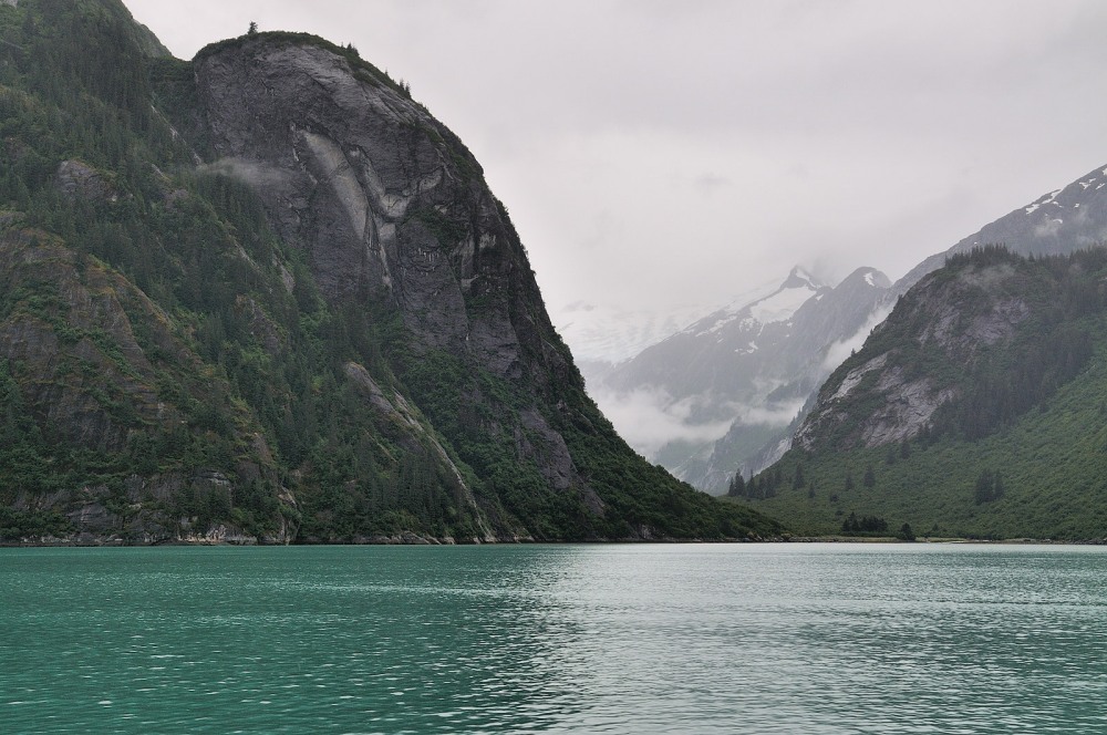 D37_8291.JPG