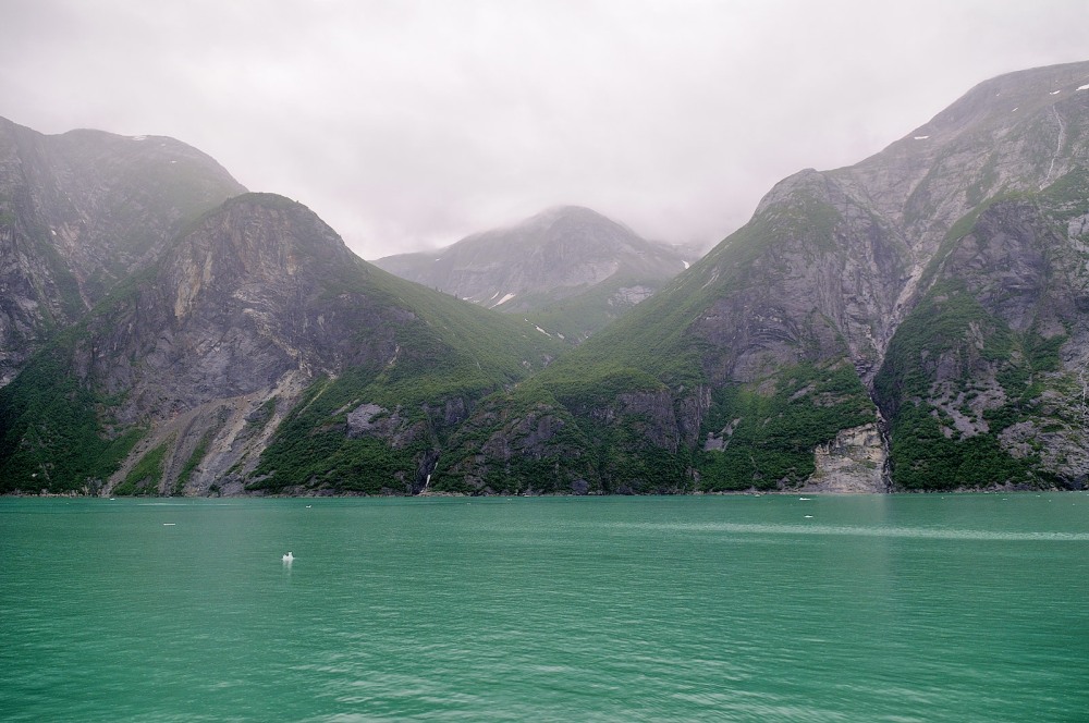 D37_8300.JPG