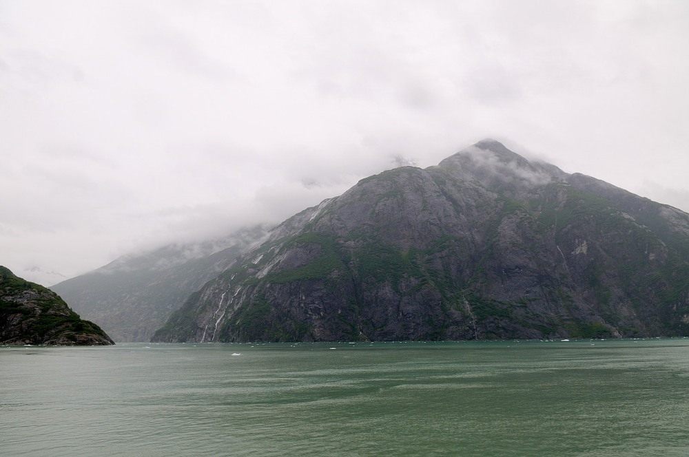D37_8303.JPG