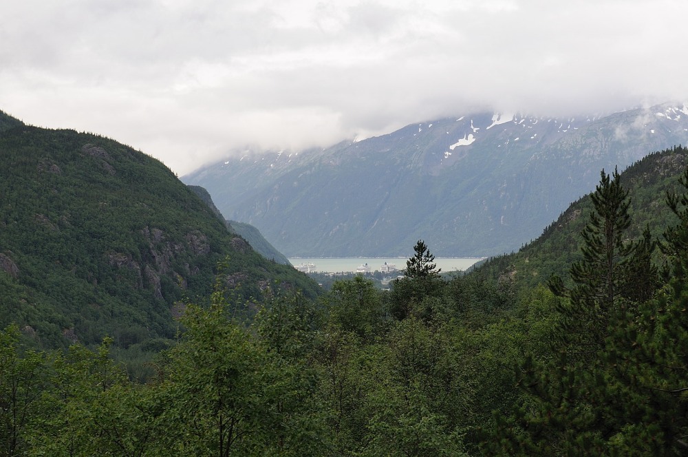D37_8548.JPG