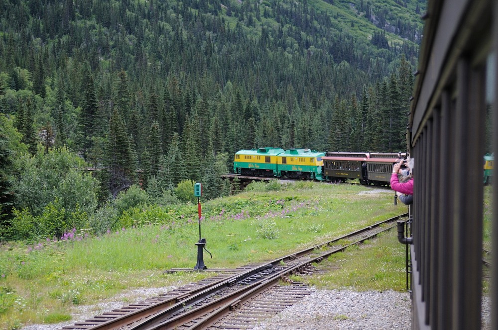 D37_8584.JPG