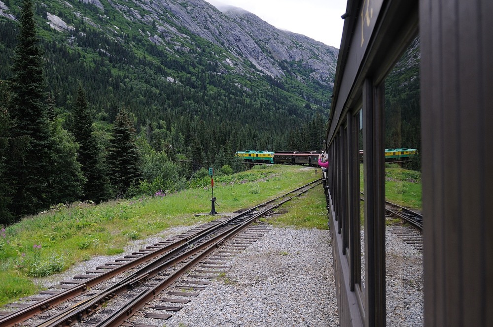 D37_8585.JPG