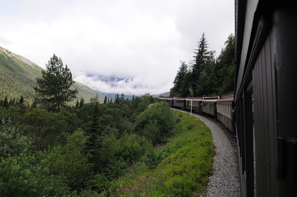 D37_8596.JPG