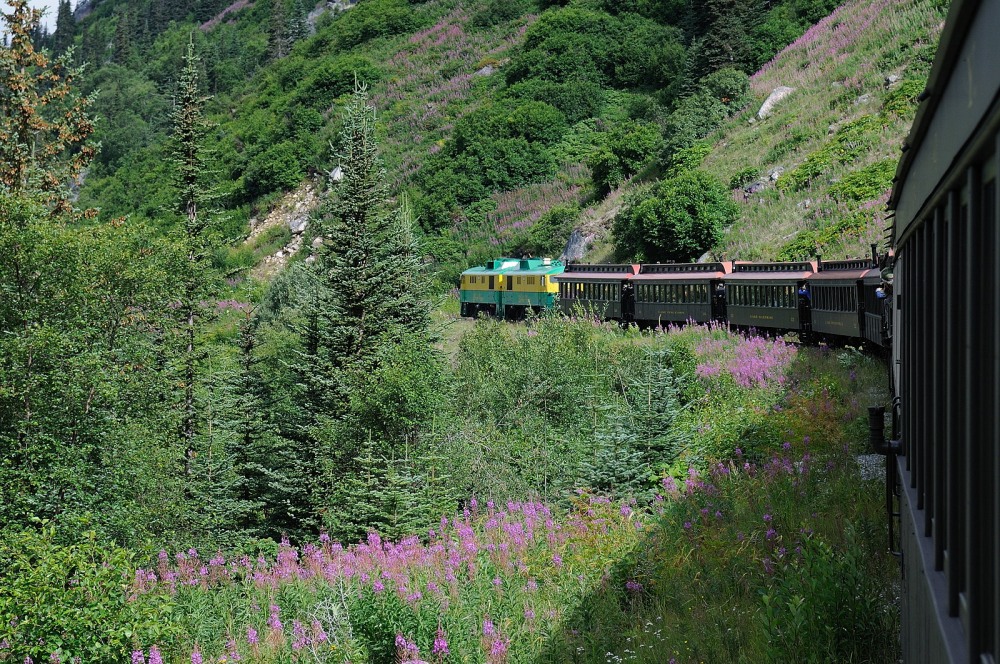 D37_8609.JPG
