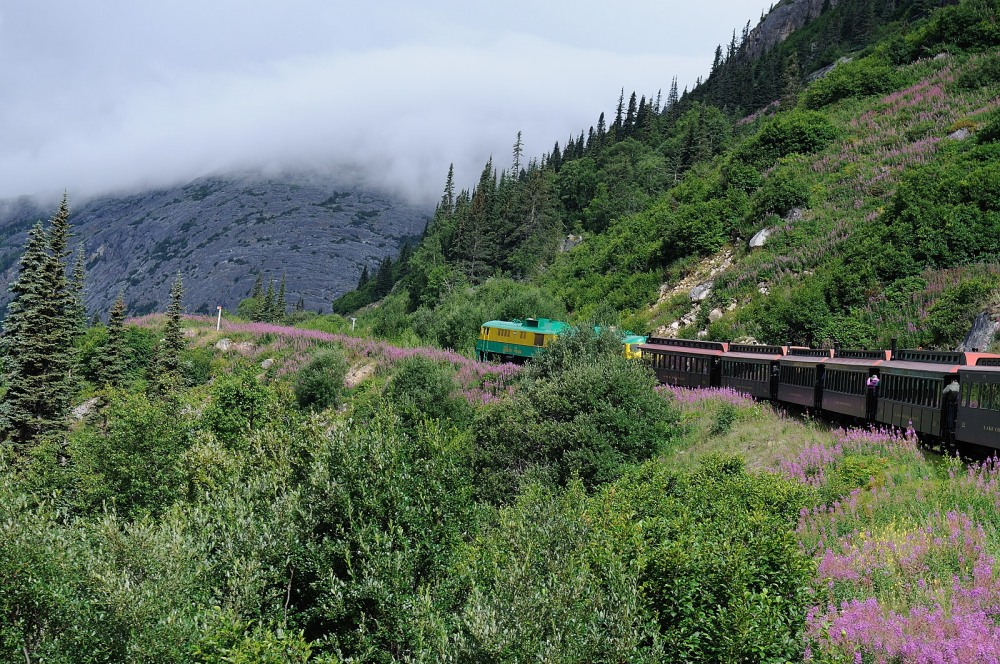 D37_8612.JPG