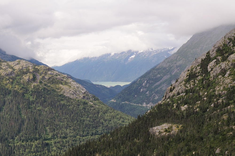 D37_8667.JPG