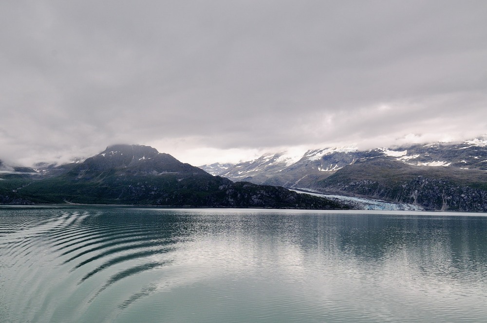 D37_8798.JPG