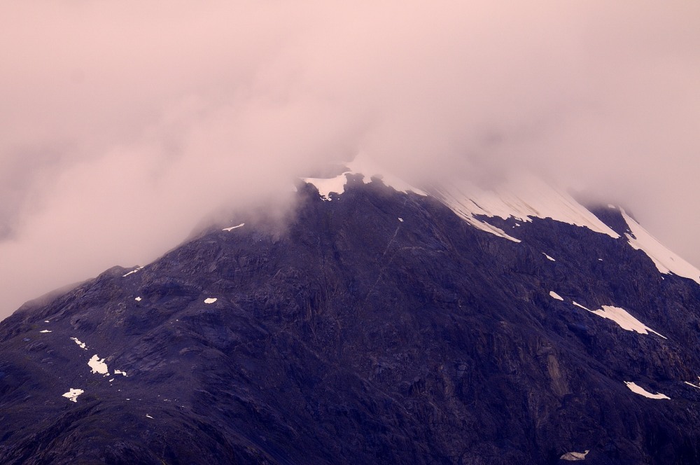 D37_8856.JPG