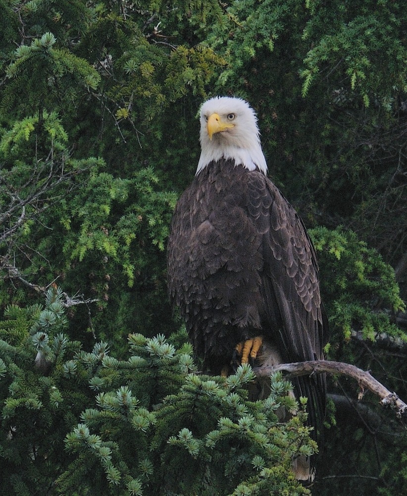 D37_9225.JPG