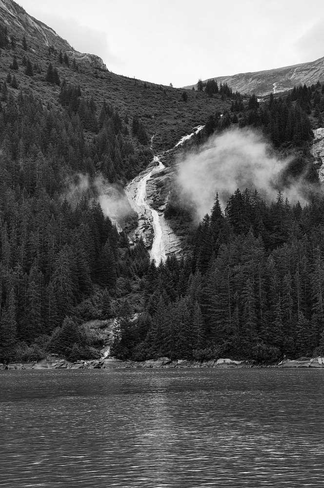 D37_8258 BW.JPG