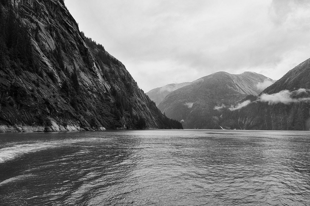 D37_8273 BW.JPG