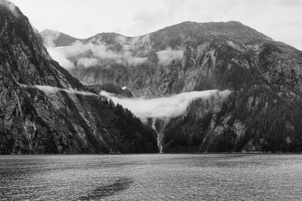 D37_8276 BW.JPG