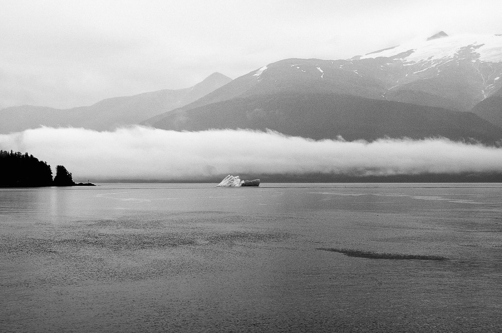 D37_8487 BW.JPG