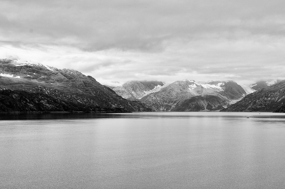 D37_8779 BW.JPG