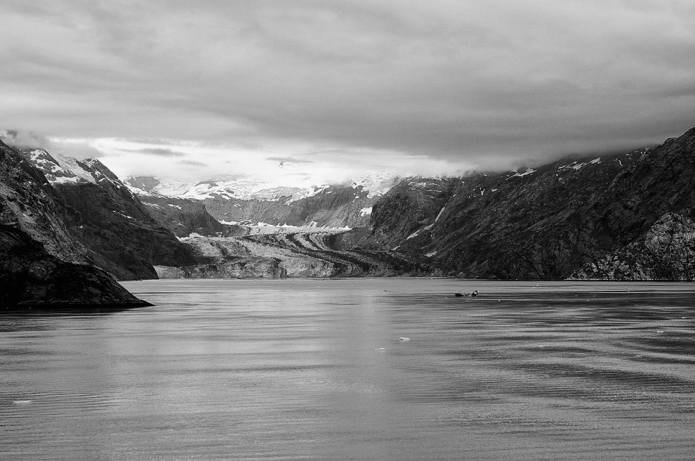 D37_9011 BW.JPG