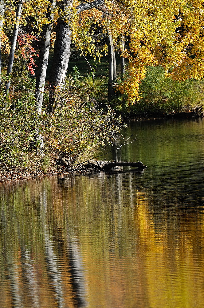 D38_7161.jpg