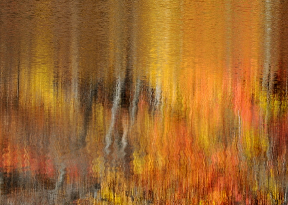 D38_7261.jpg
