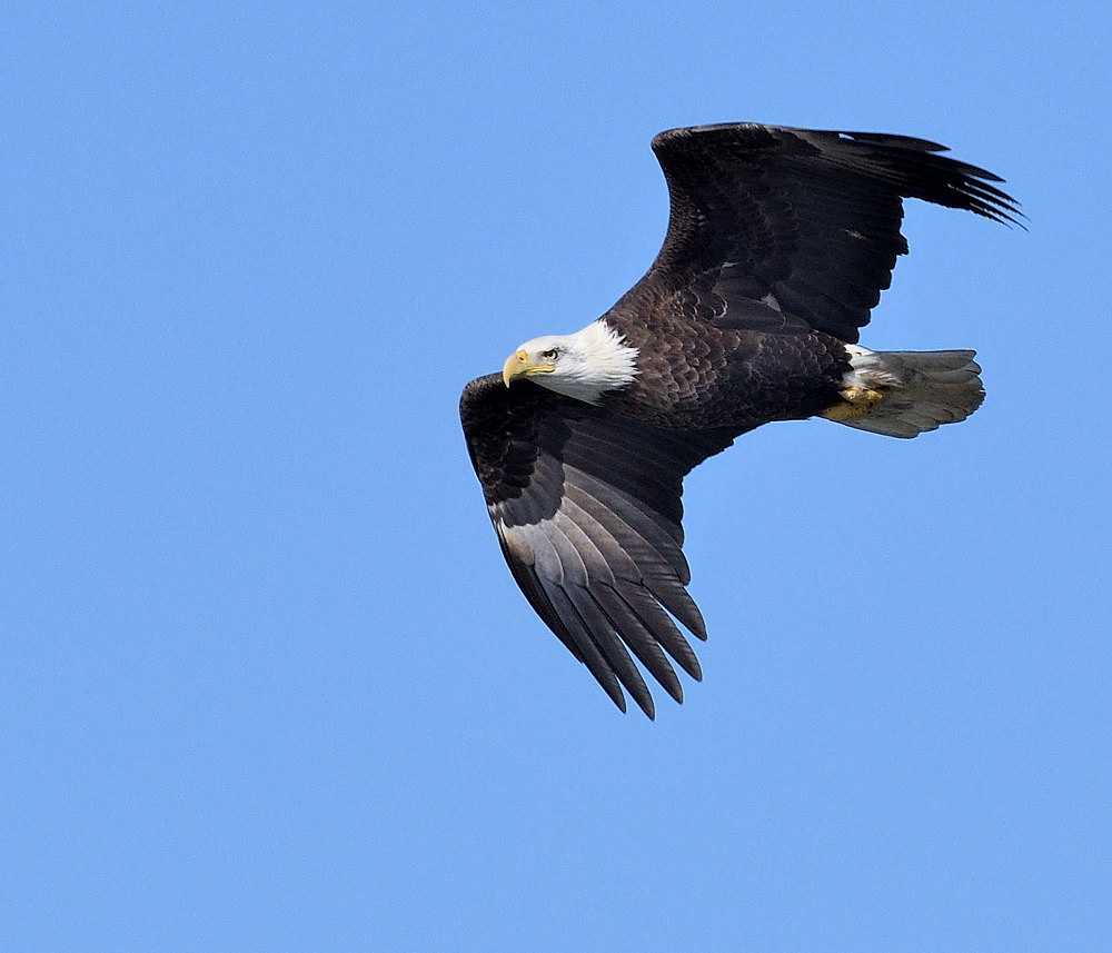 D50_1259.jpg