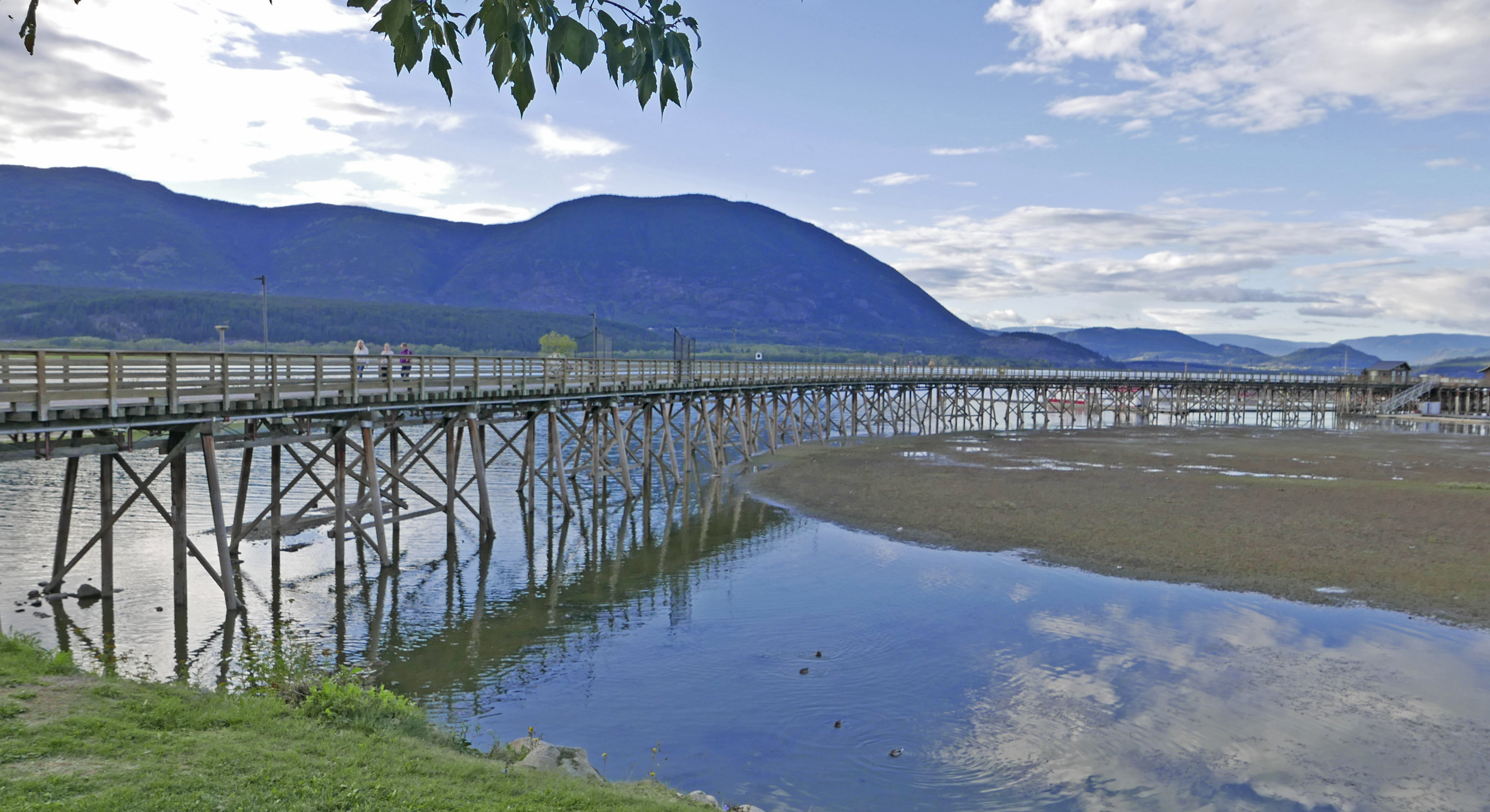 Curved Jetty.jpg