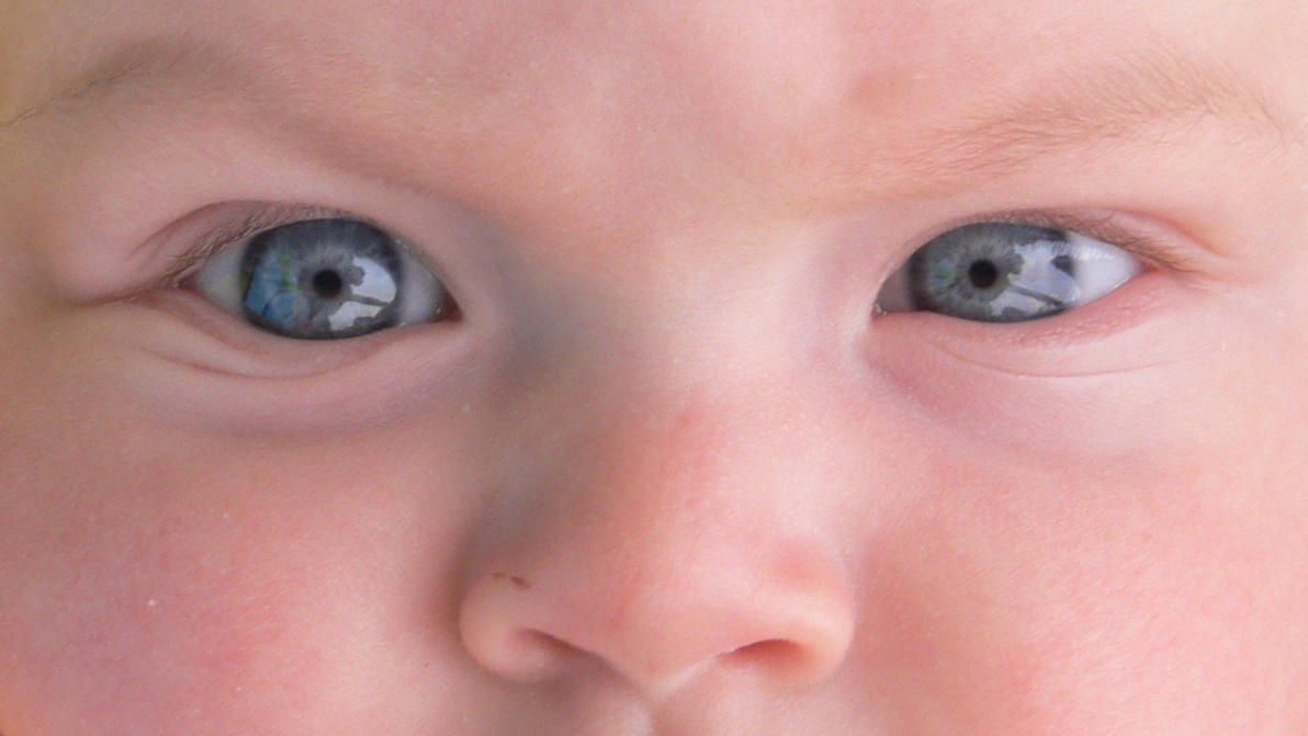 TheEyes.jpg