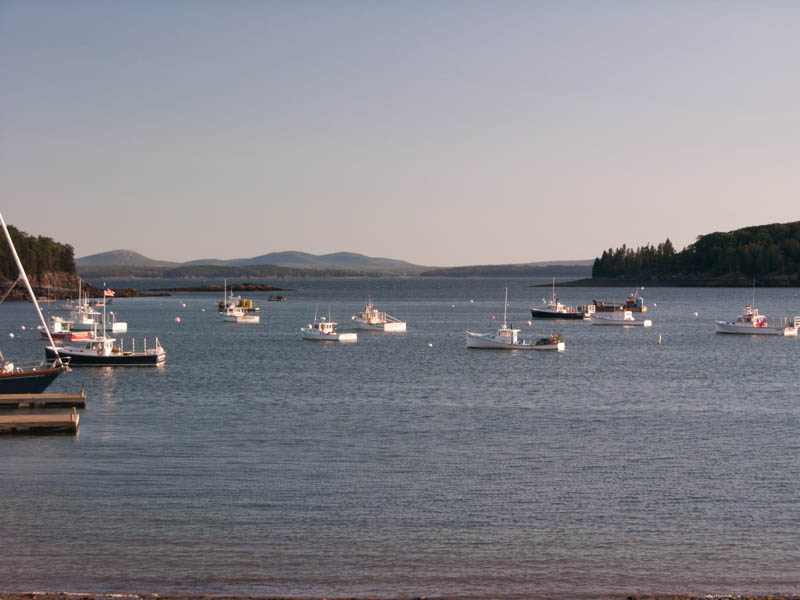 DSCN1645.jpg