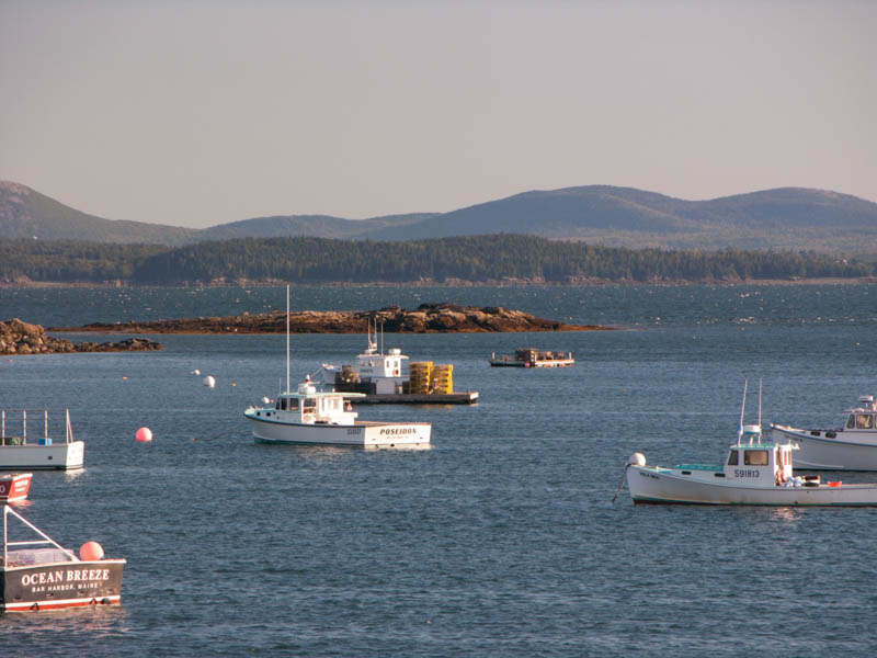 DSCN1647.jpg