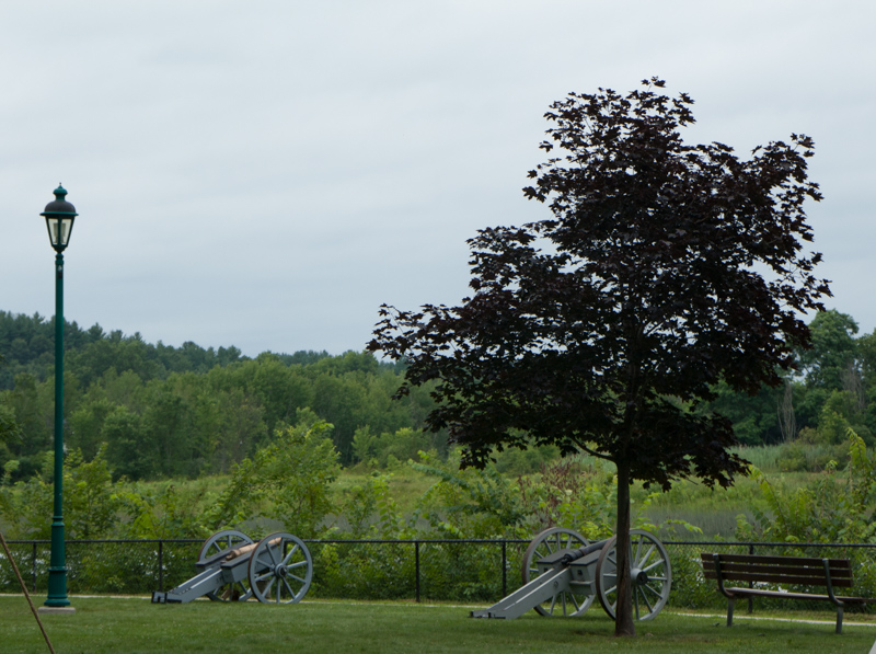 IMG_8995.jpg