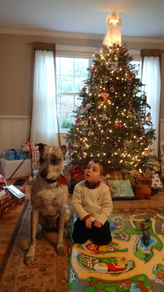 2016-12-18 11.37.13.jpg