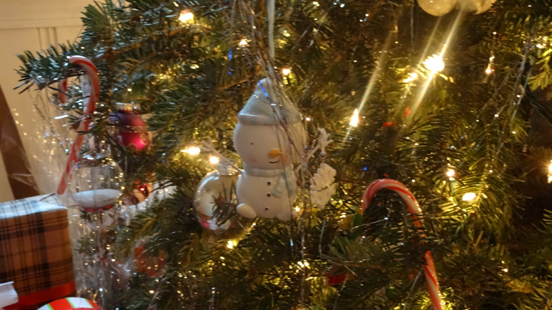 2016-12-18 12.06.20.jpg