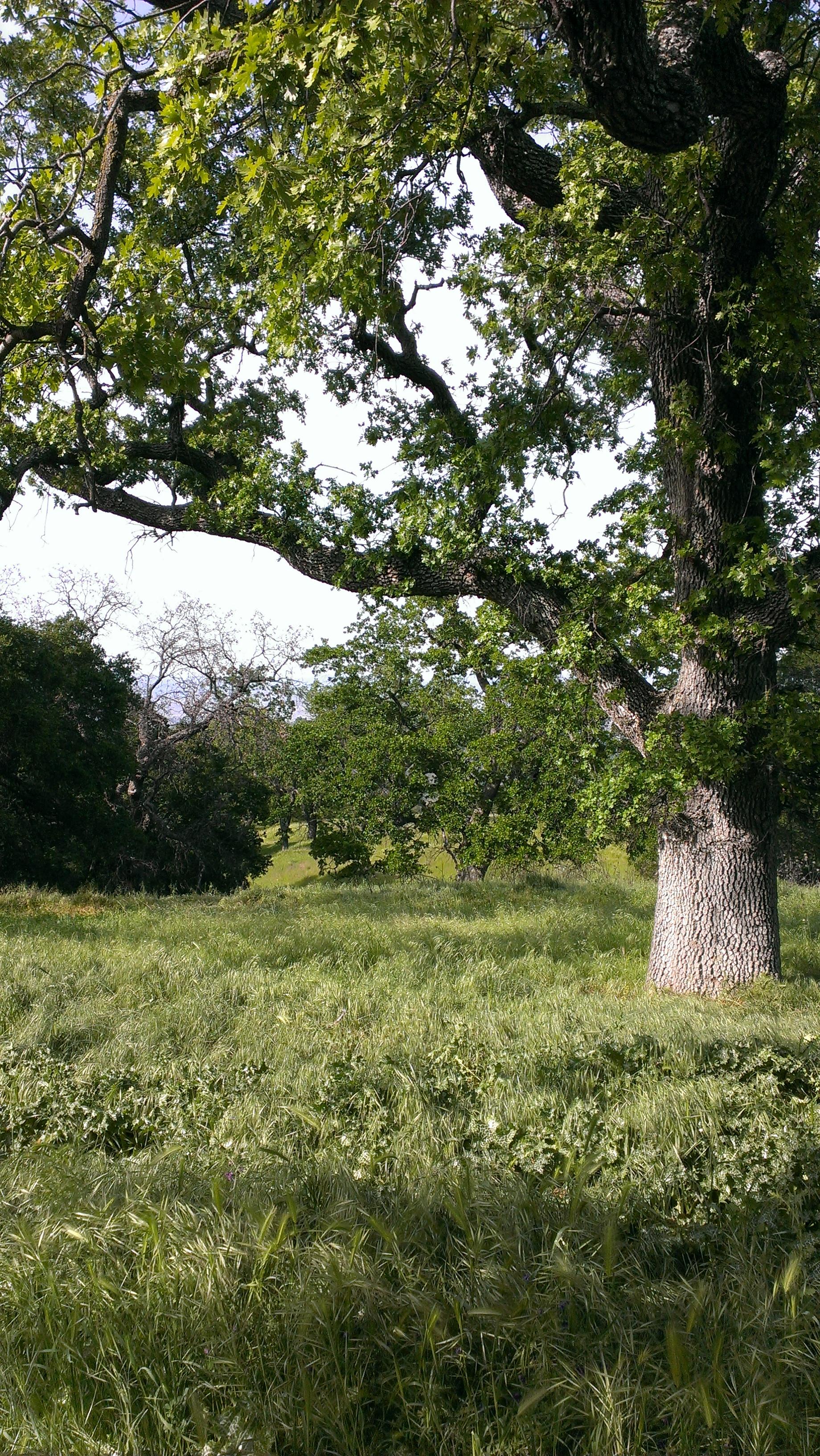 IMAG0011.jpg