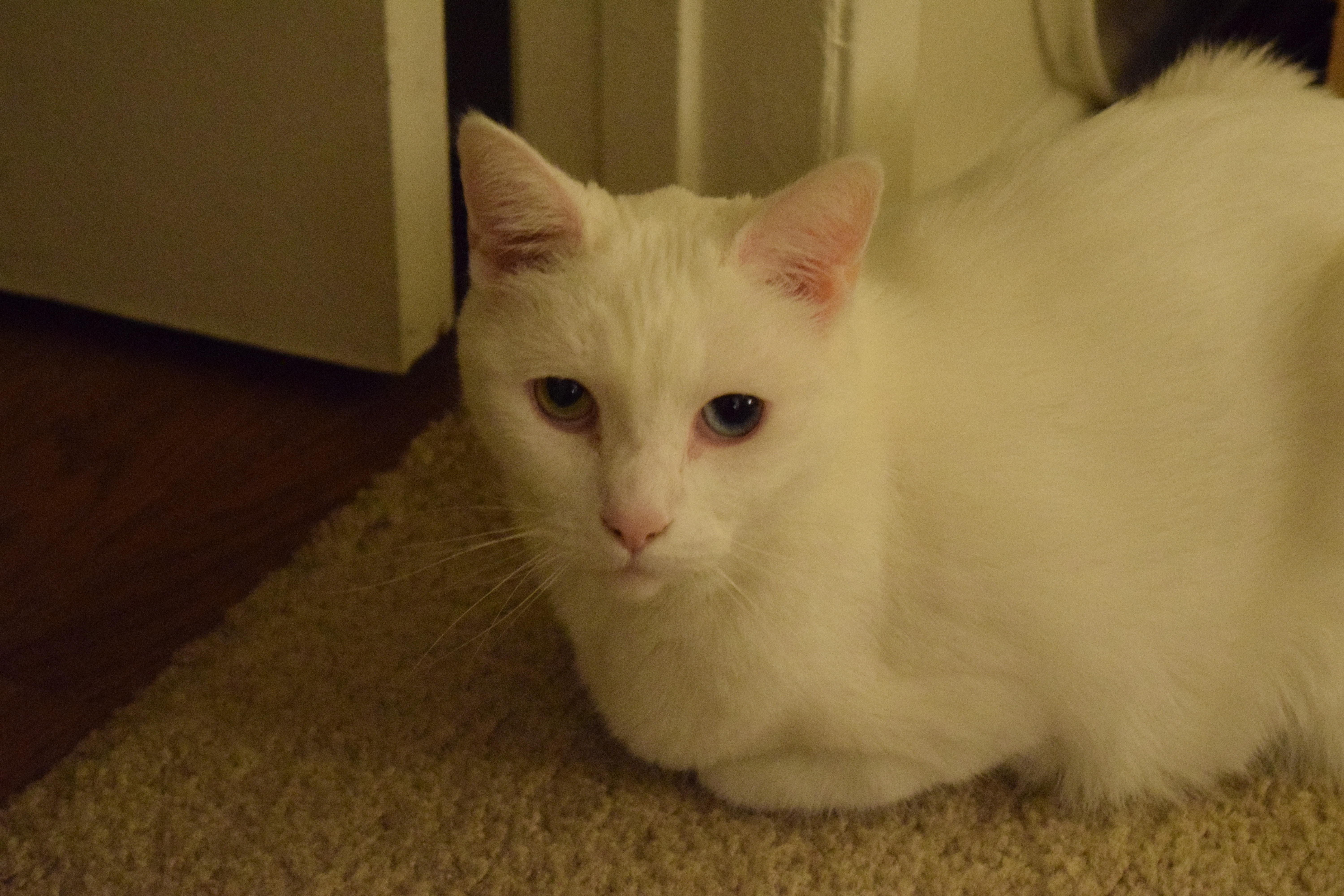 DSC_0006.JPG