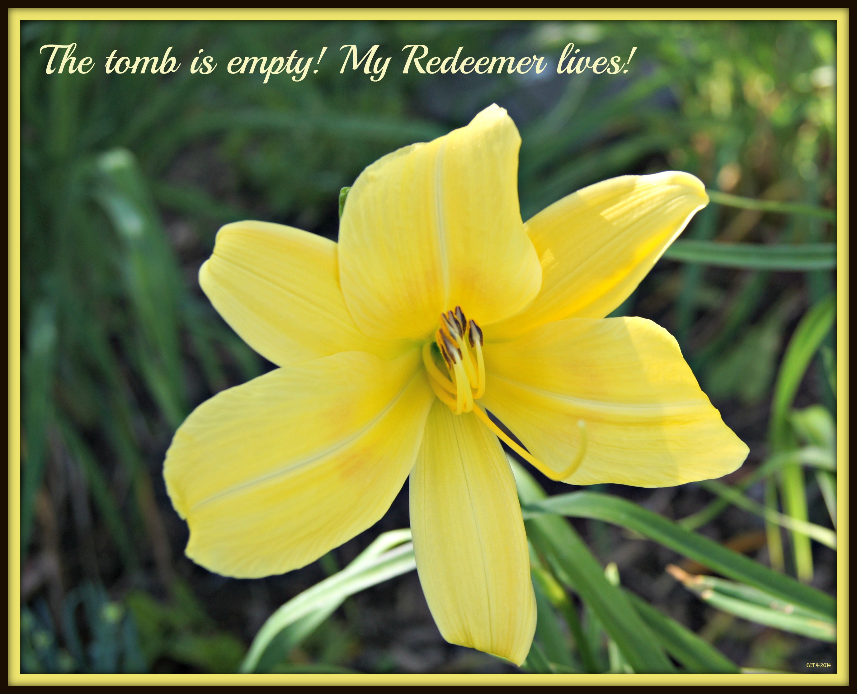My Redeemer Lives