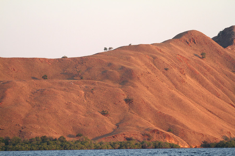 Barren islands