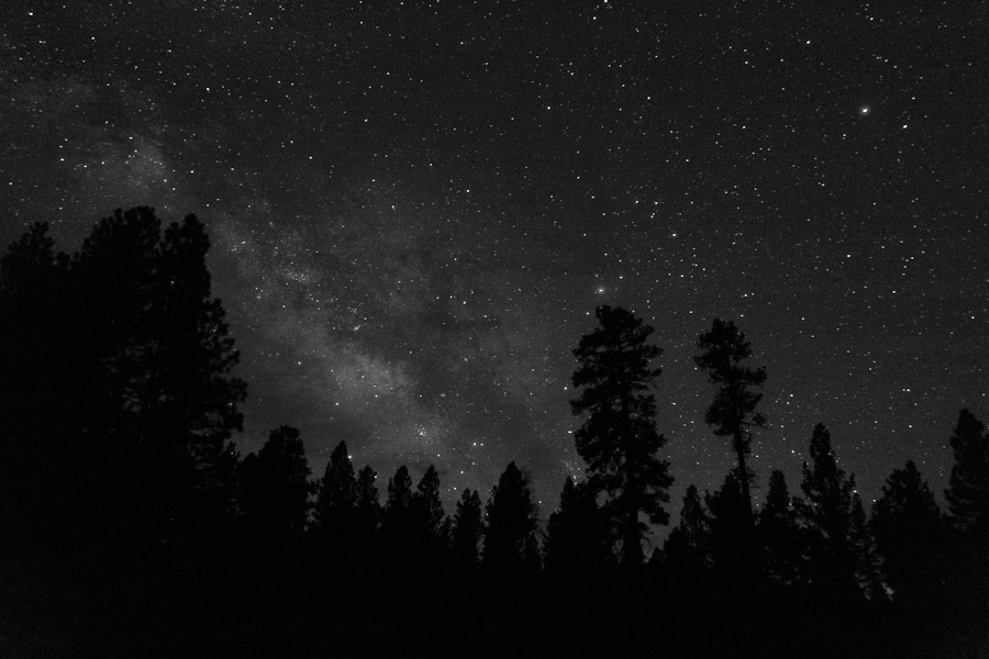 Natl Forest Milky Way timelapse