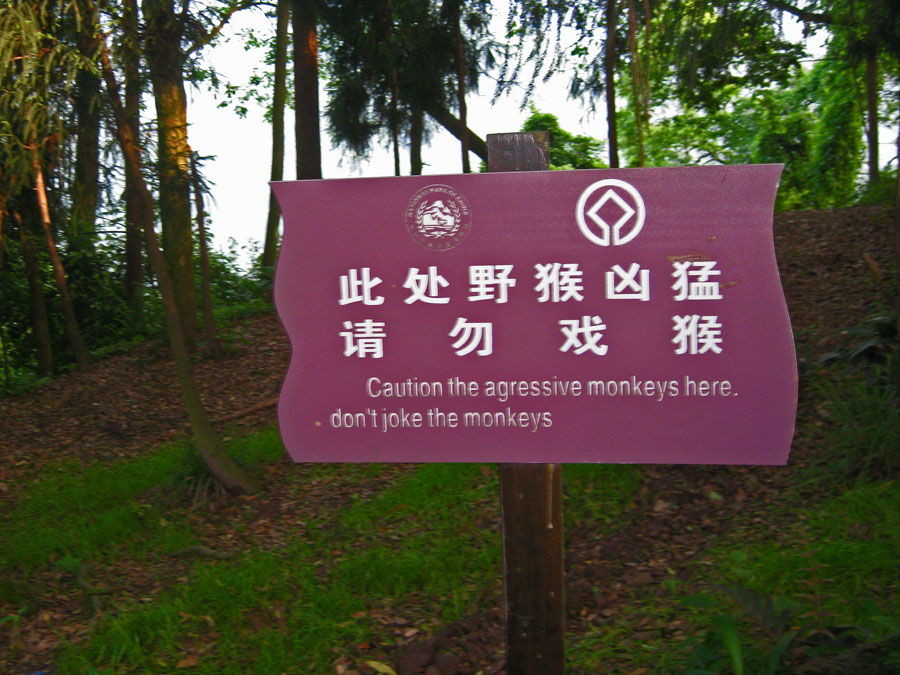 Beware the dangerous monkeys part 2