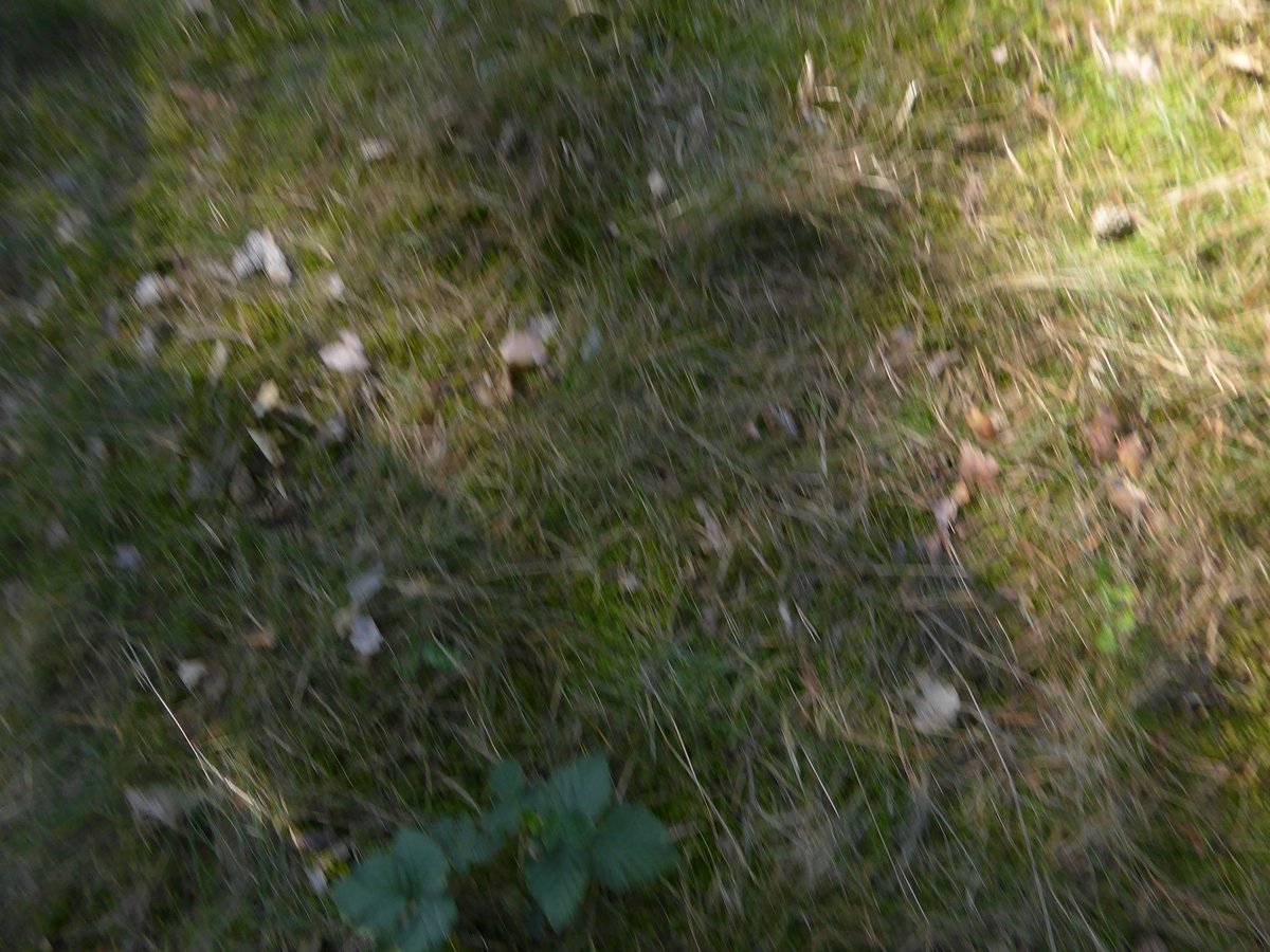 tn_P1010770.JPG