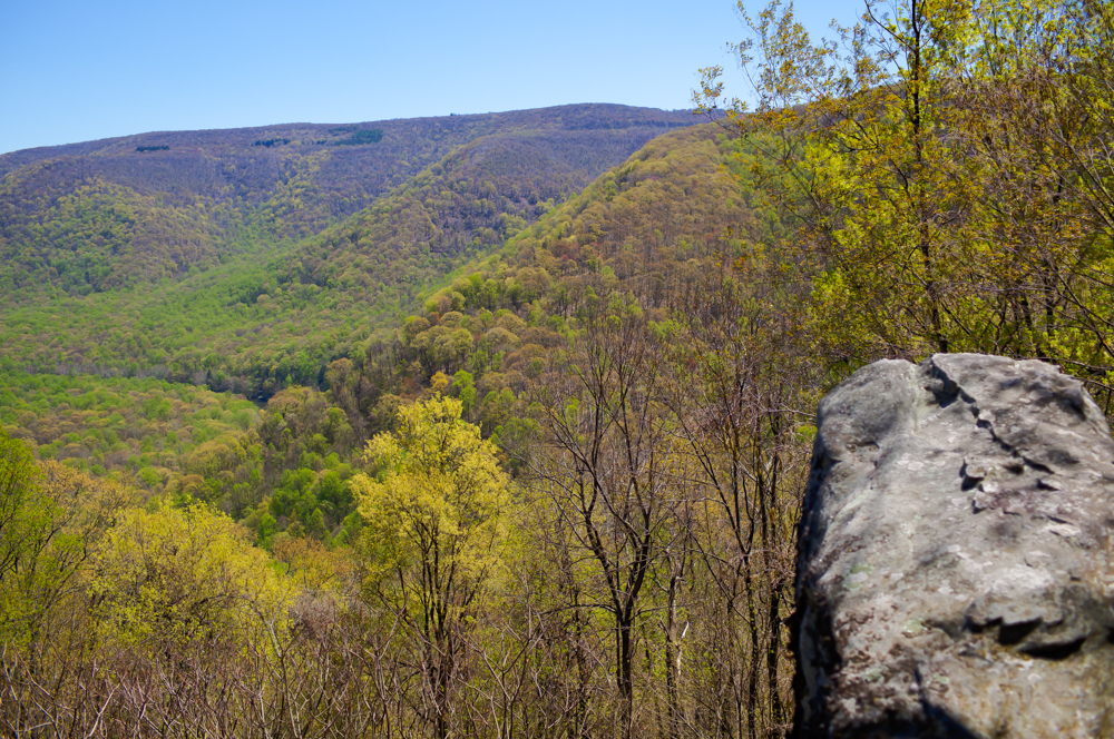 Ohiopyle State Park