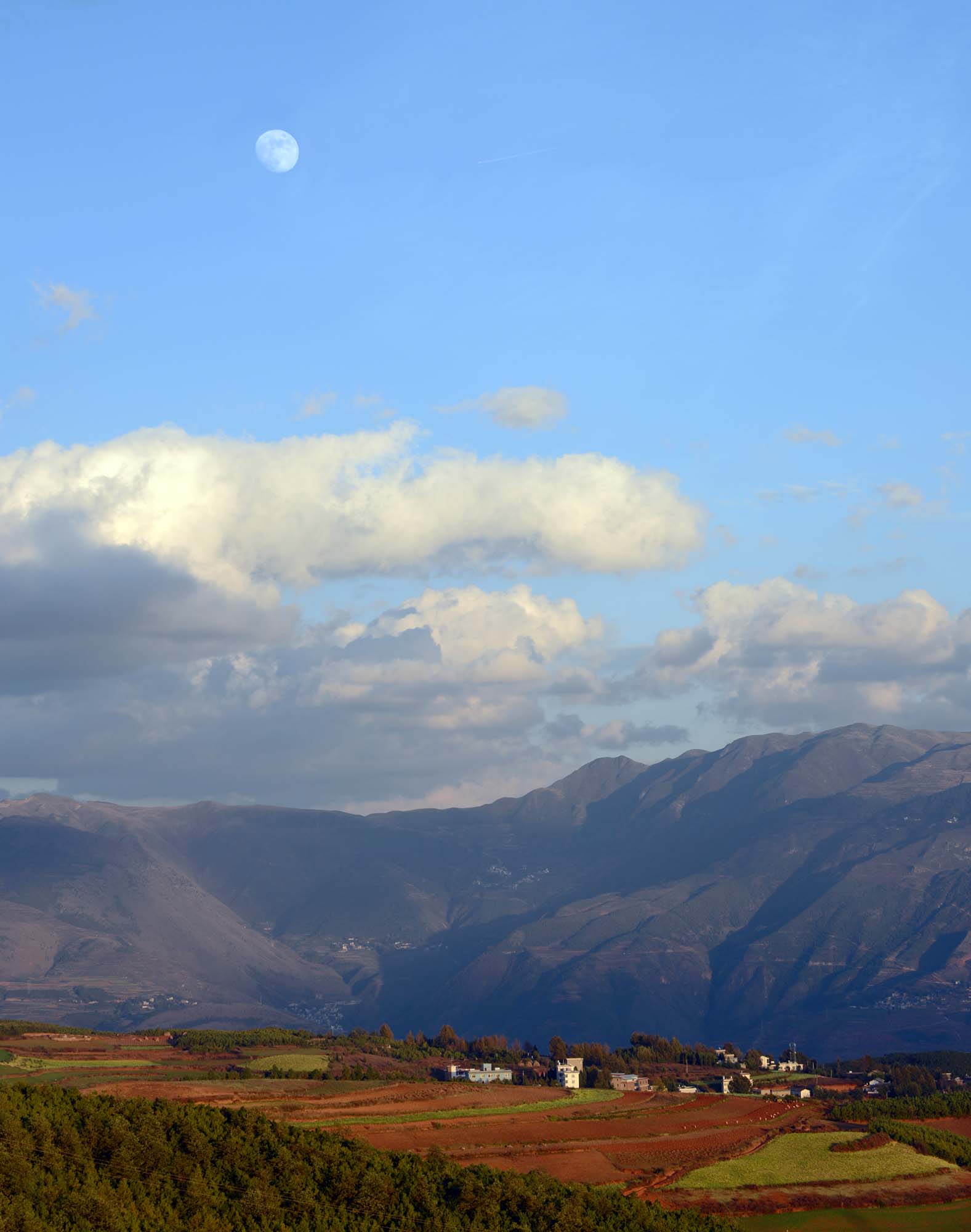 GDA-DSC_1149-p.jpg