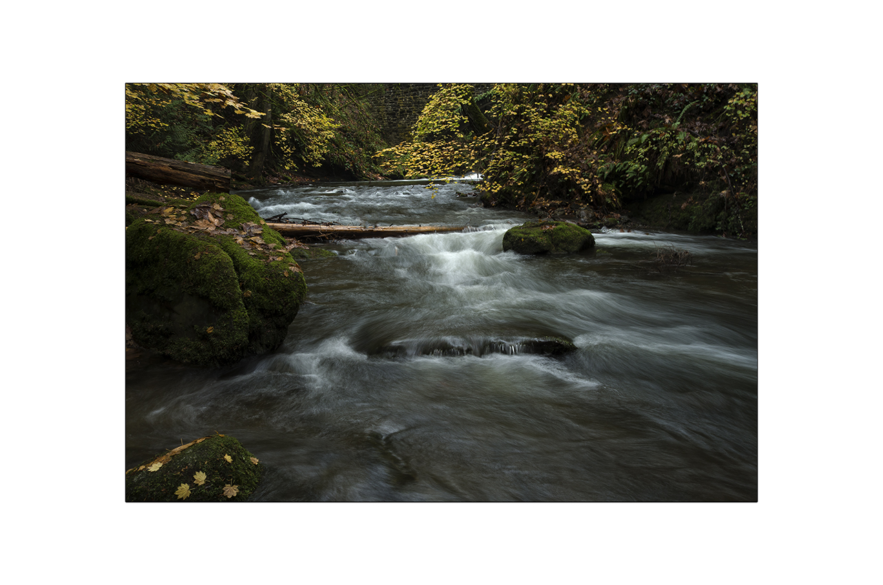 Roaring Creek
