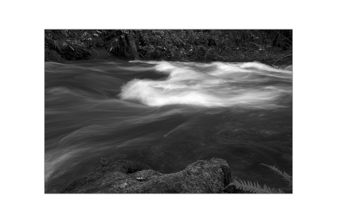 Creek in BW