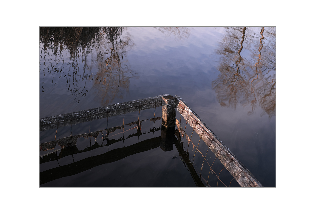Sunken Fence