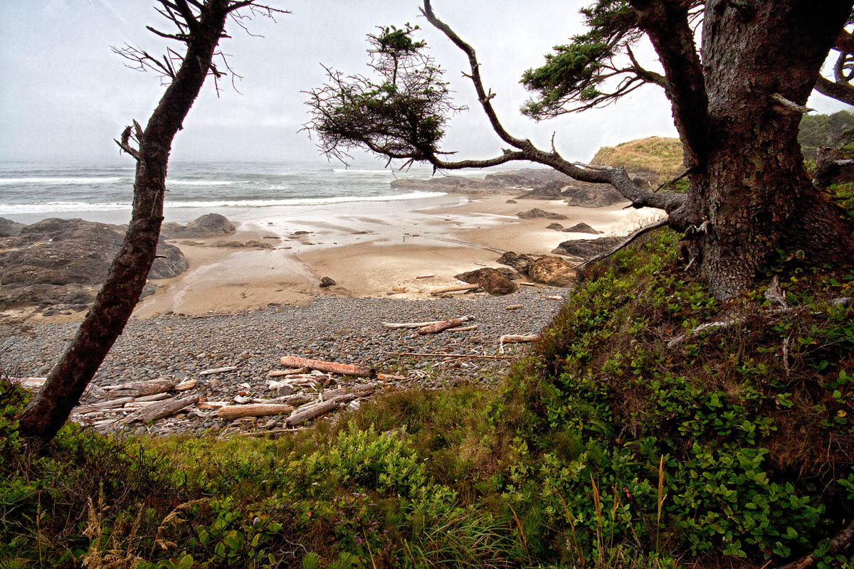 Beach View